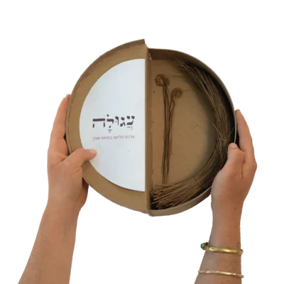 כרמל חמו 7