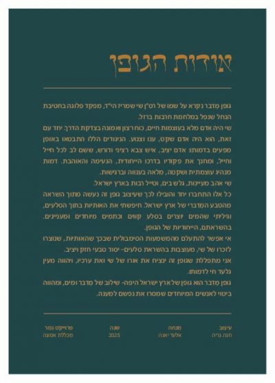 חנה נרי-ה 2
