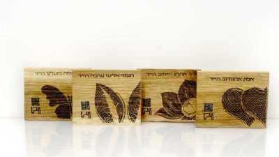 רעות שנפס 2