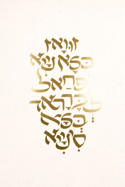 שירה כהני 2
