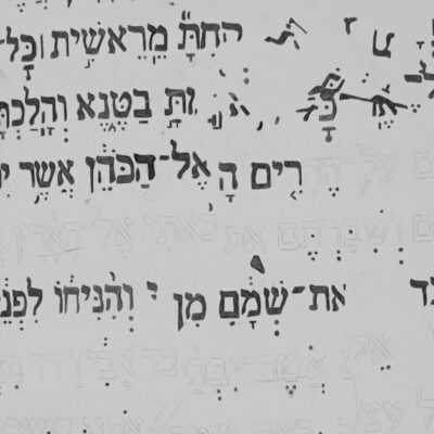 אורה קנטרוביץ
